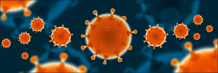 viral particles